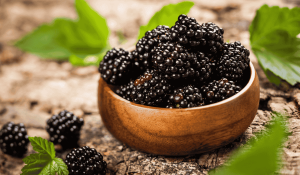 Böğürtlen (Rubus fruticosus)